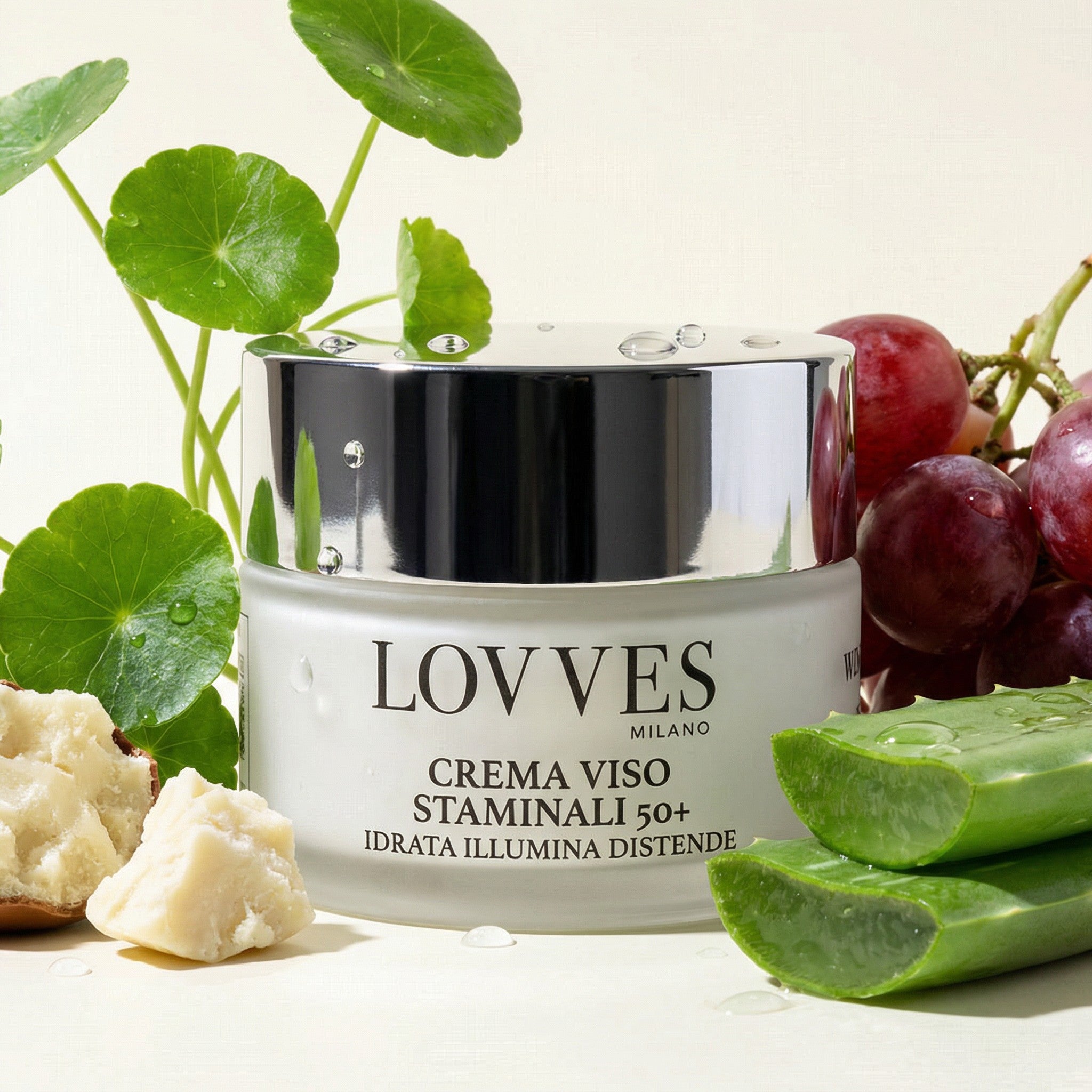 50 Lovves Stem Cell Face Cream, Best Stem Cell Anti Wrinkle Cream